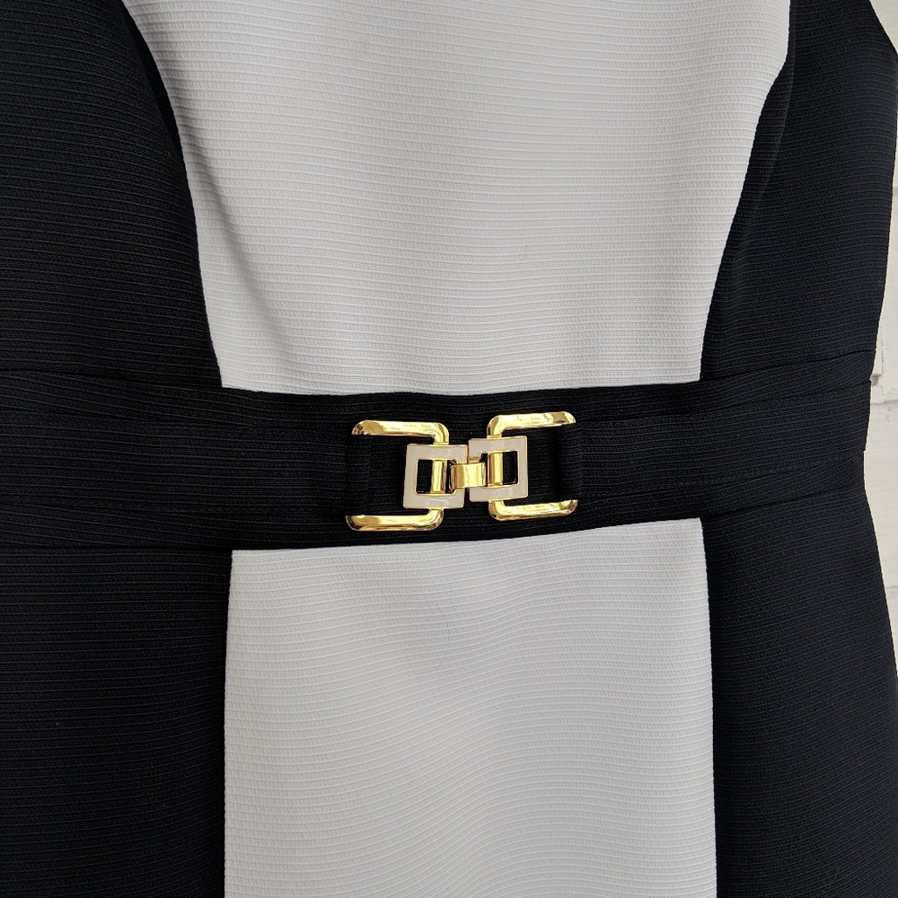 Tahari-Levine Studio Career Style A-Line Dress - Picture 2 of 5